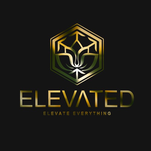 ELEVATED