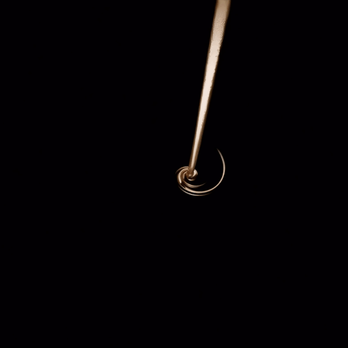 Spindle of Life