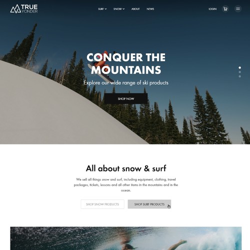 Website design for the surf and snow marketplace