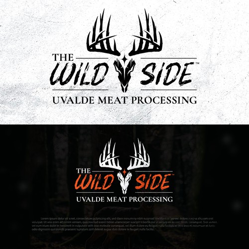 Concept logo designs for The Wild Side