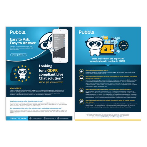 1 page flyer for pubble