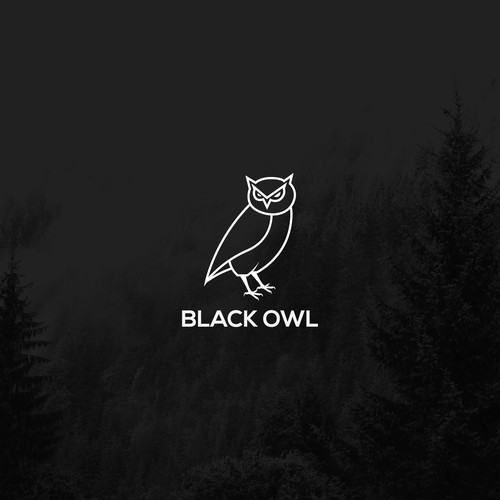 rejected logo for black owl