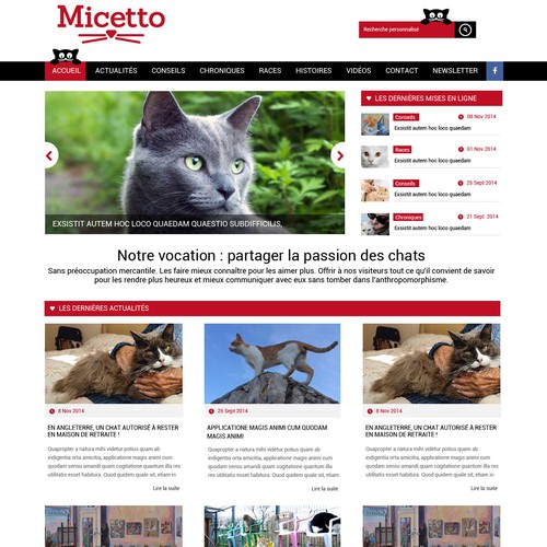 Relooker le site Micetto.com : un site pour des passionnés de chats.