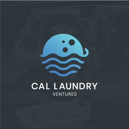 Logo Concept for Laundry Business