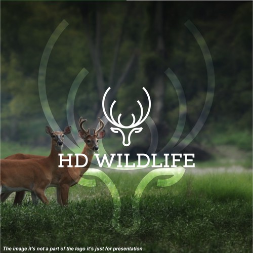 HD Wildlife