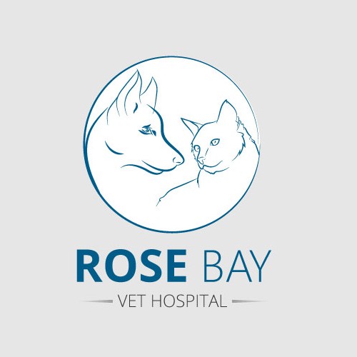 Boutique brand identity required for local vet practice