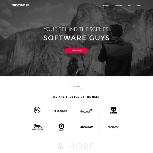 Design Entry For a Software Company