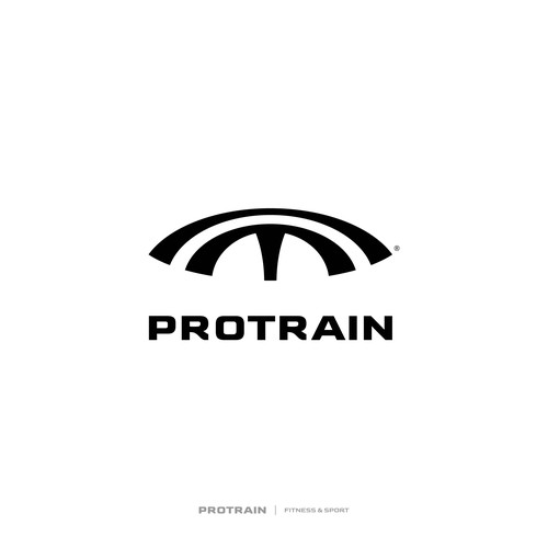 Logo concept for Protrain