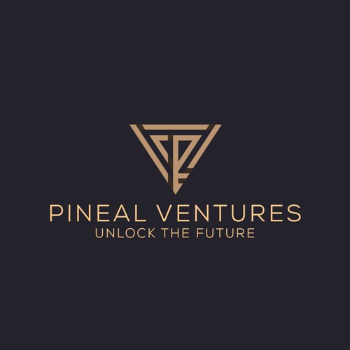 Logo for Venture Capital Firm 
