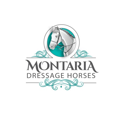 Dressage Horse Sales Logo Design