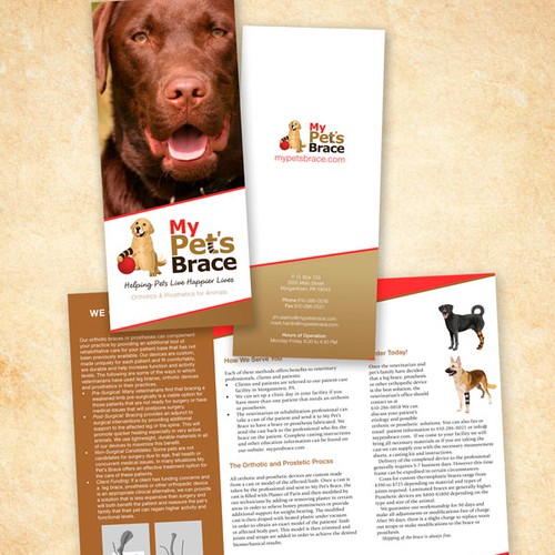 Brochure for company that provide pets with braces or prostheses