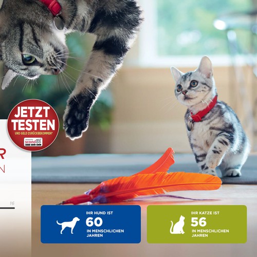 Hersteller für Hunde- und Katzennahrung braucht eine Landingpage für Gratis-testen Aktion