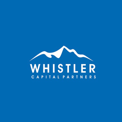Logo concept for capital partner