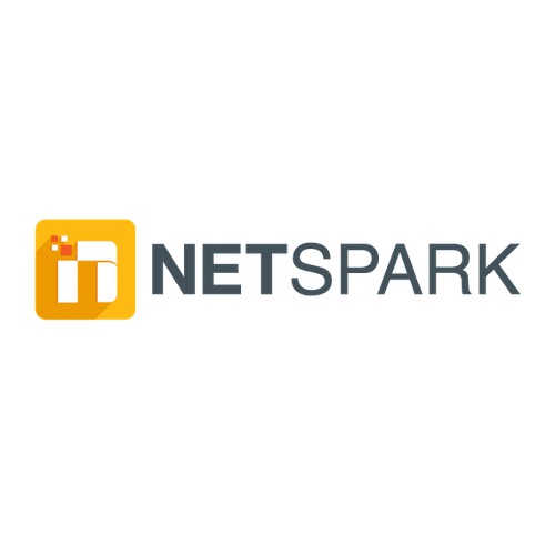 Logo Concept For Netspark