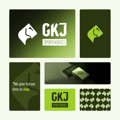Logo & Visual Identity System for a equestrian sports brand