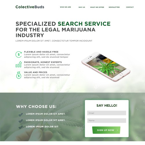 Marijuana website landing page