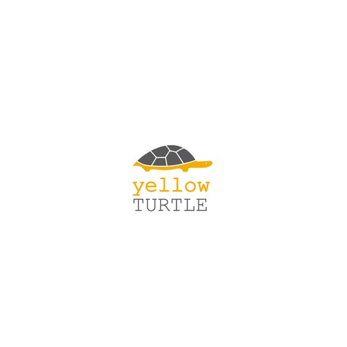 Yellow Turtle 