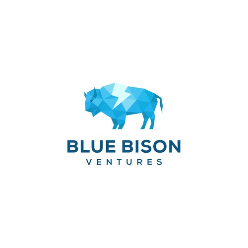 Blue Bison Ventures