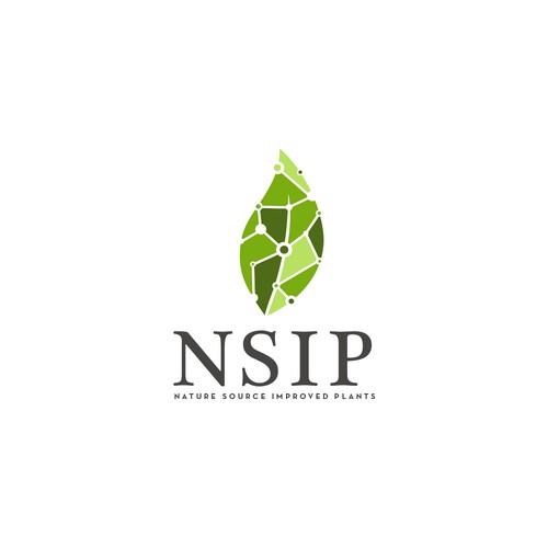 NSIP (propuesta)