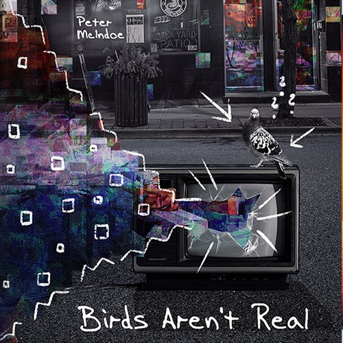 Experimental Vinyl Cover Design — Birds Aren’t Real