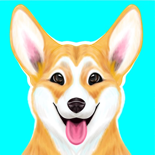 Corgi Closeup