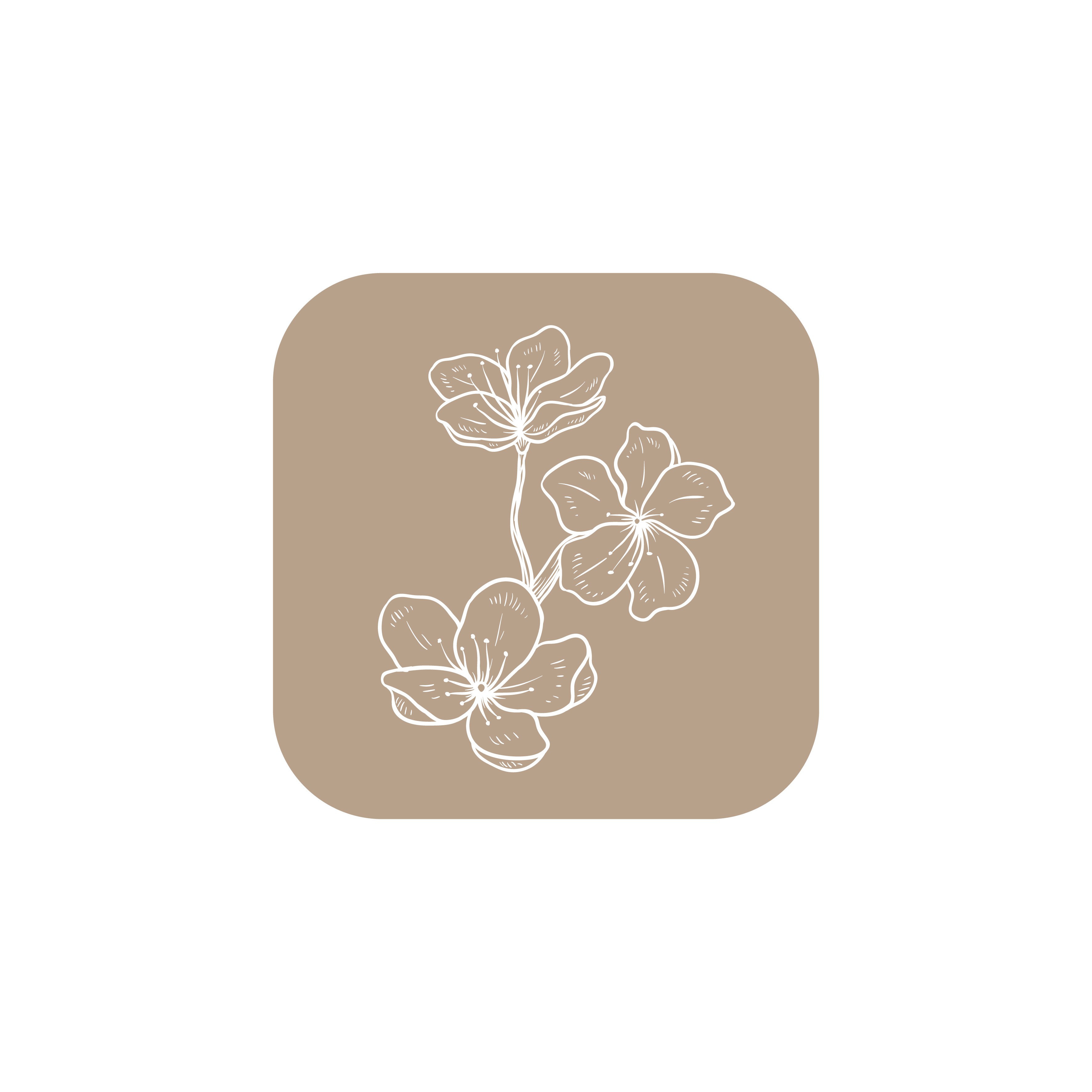 Providing the other logo variation + favicon