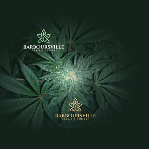Barboursville Cannabis Company
