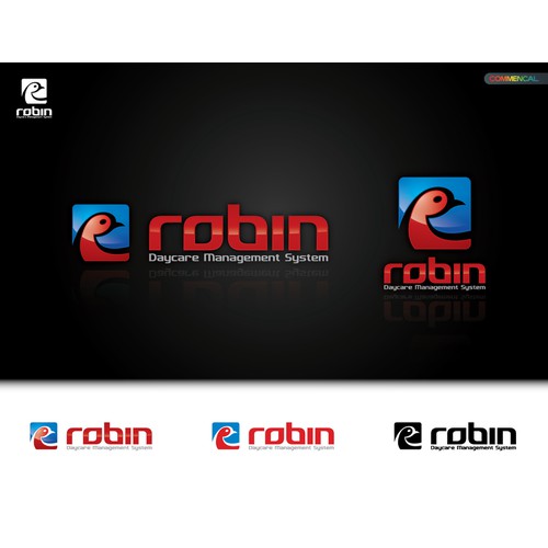 Robin needs a great logo
