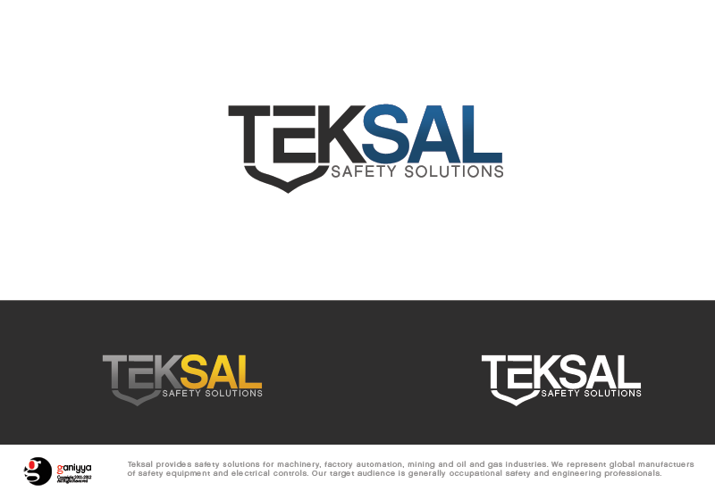 Create the next logo for Teksal Controls