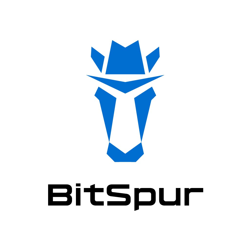 BitSpur Logo