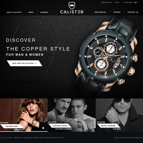 Website for Fashion Watch Company