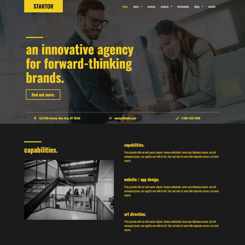 Agency & Company Website