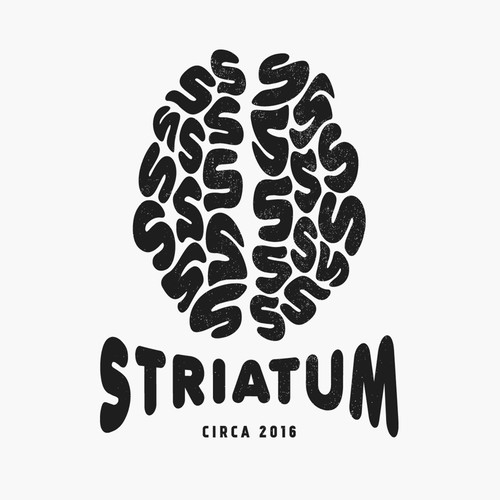 Striatum S Brain