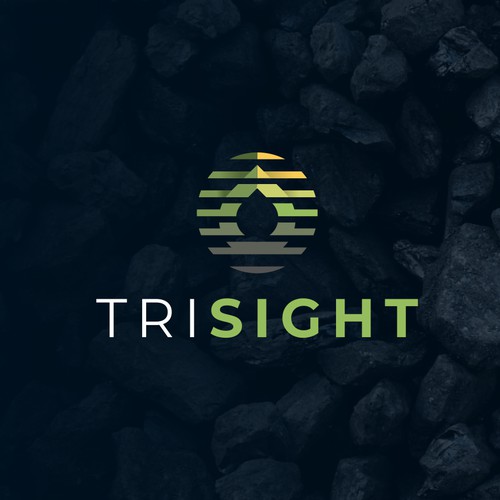 Creative logo design for TriSight.