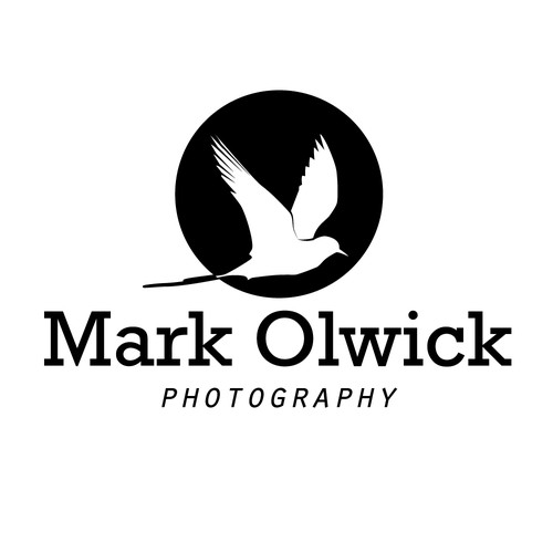 Travel Photographer Logo