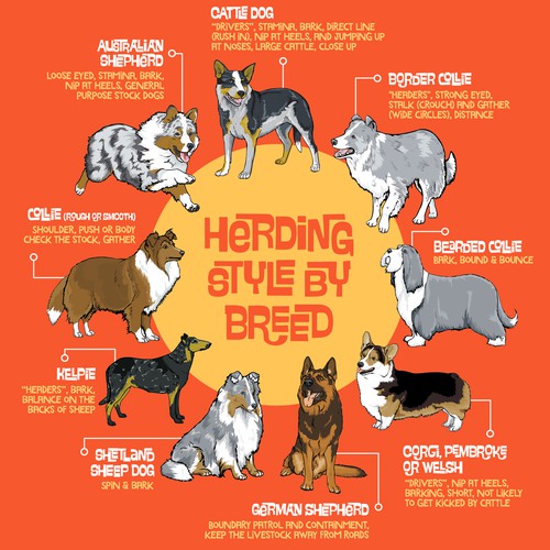 Infographic to Understand Herding Behavior