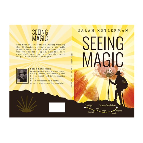 Artistic Book Cover for Seeing Magic