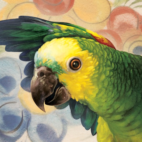 Parrot Illustration
