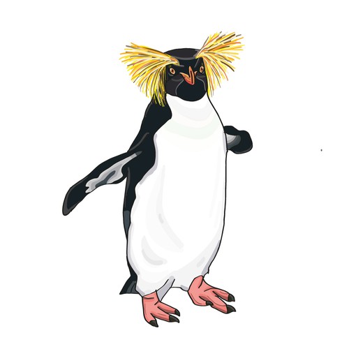 Penguin for a T-Shirt design