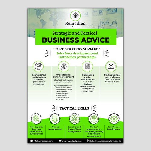Remedios LLC Consulting Flyer