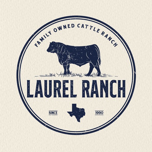 Charolais bulls Cattle Ranch