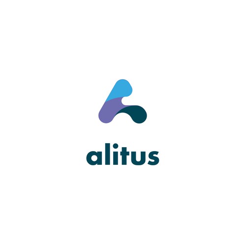 Logoconcept, alitus