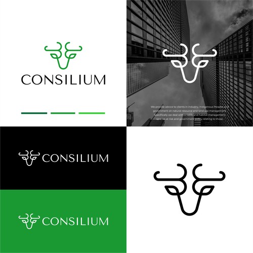 CONSILIUM