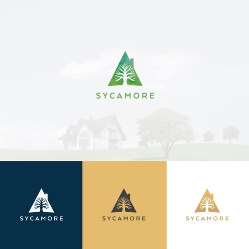 Sycamore