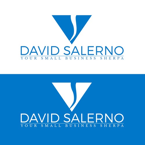 Logo Concept for David Salerno