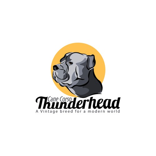 thunderhead