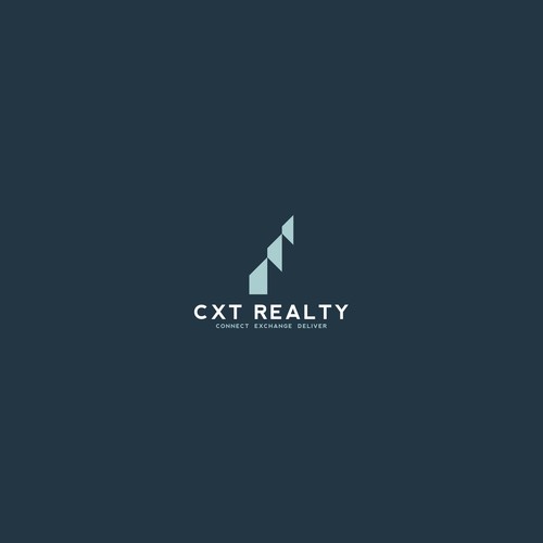 CXT REALTY