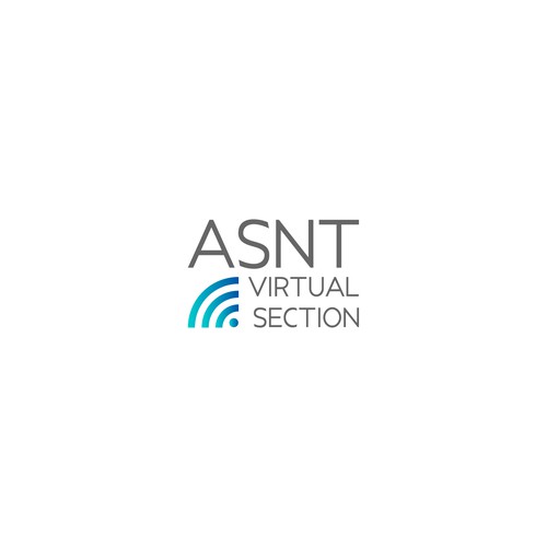  ASNT Virtual Section