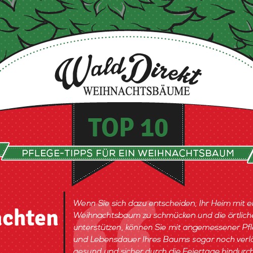 '10 Top Christmas Tree Care Tips' Infographic