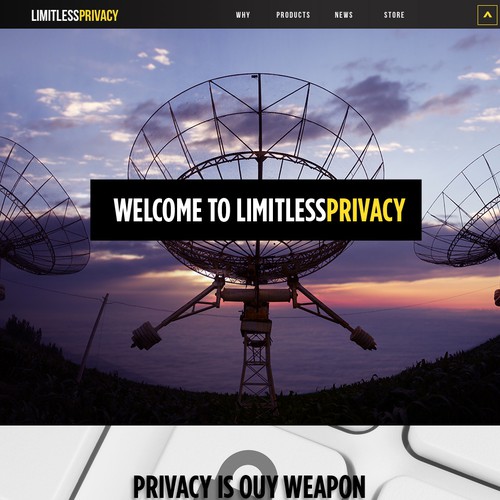 Web Page page for Limitless Privacy